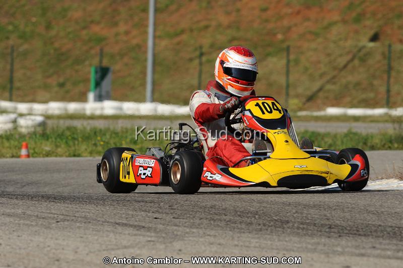 DSC_0773.JPG