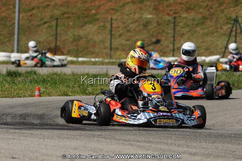 DSC_1133.JPG
