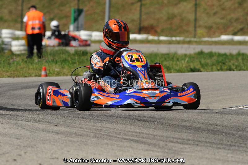 DSC_1351.JPG