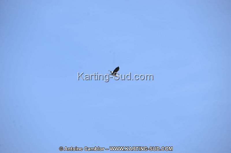 DSC_1493.JPG