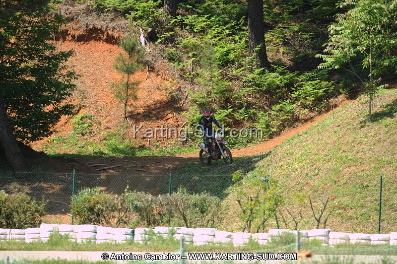 DSC_1548.JPG