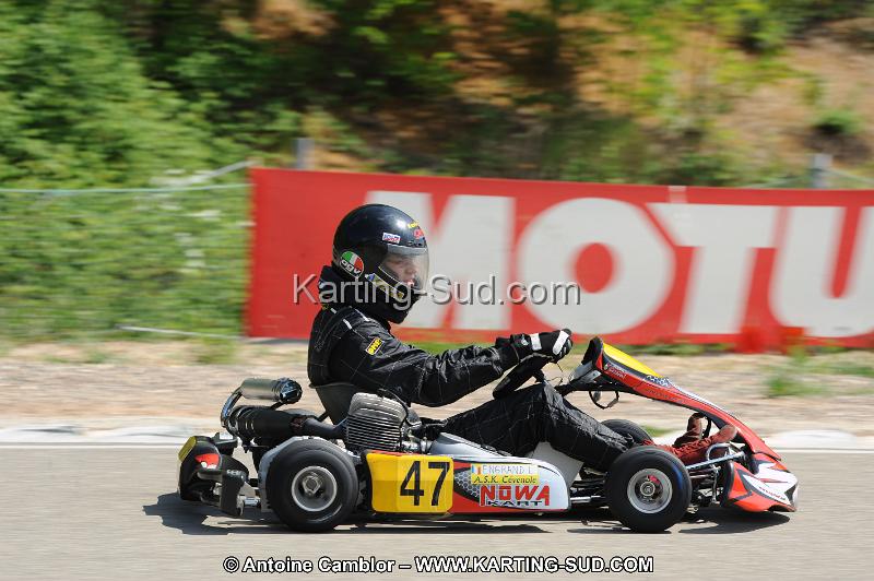 DSC_2530.JPG