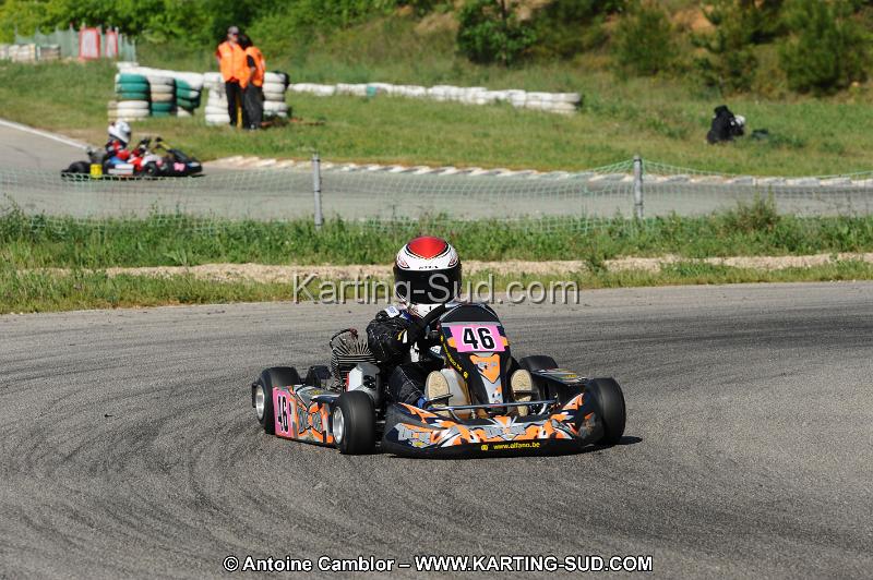 DSC_3175.JPG