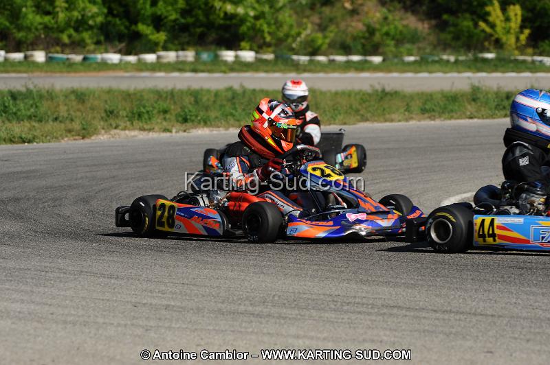 DSC_3239.JPG