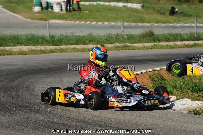 DSC_3370.JPG