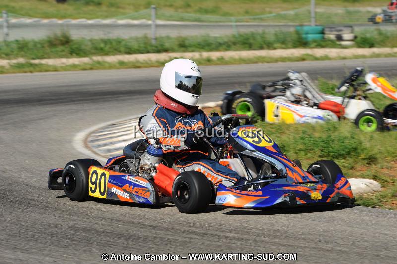 DSC_3373.JPG