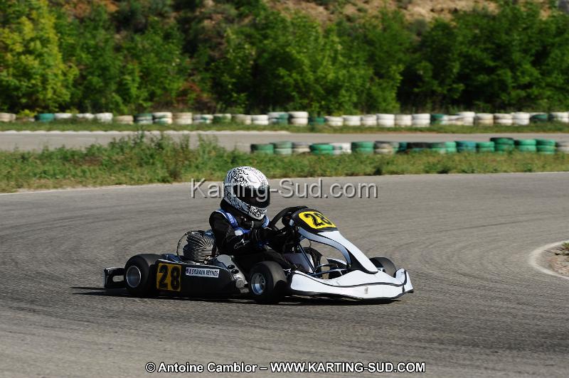 DSC_3489.JPG