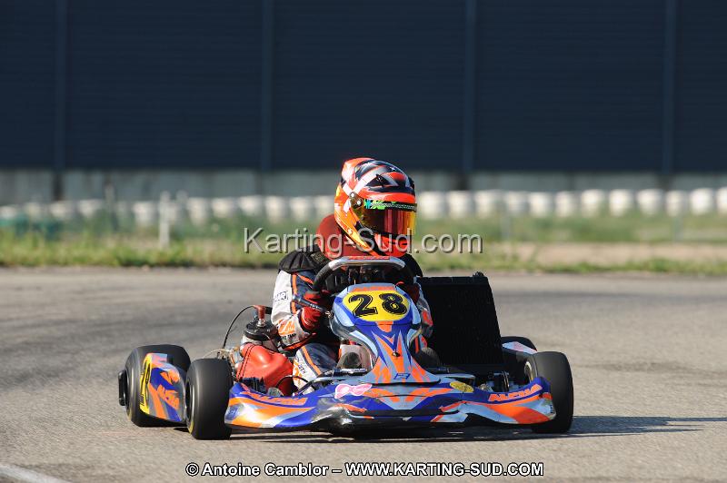 DSC_7528.JPG