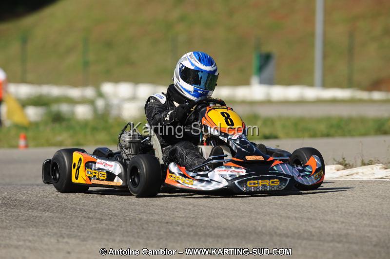 DSC_7915.JPG