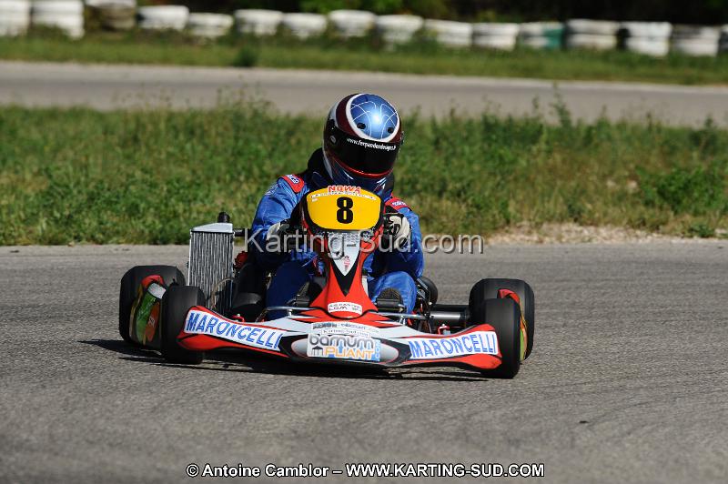 DSC_9399.JPG